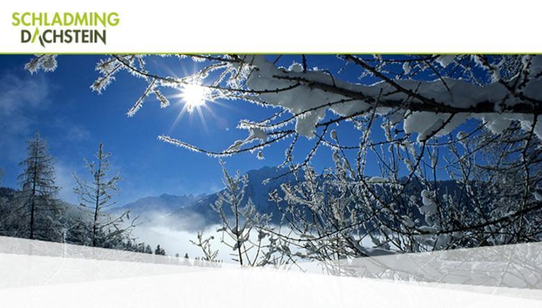 Hotel Vitaler Landauerhof Schladming Eksteriør bilde